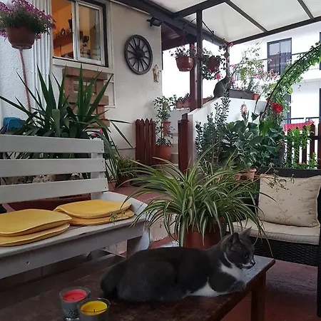 Apartment Estia Vasilis Manoli *