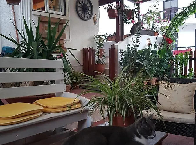 Lejlighed Estia Vasilis Manoli *